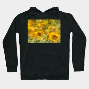 Sunflower, sunflower, abstract, (Helianthus annuus) Hoodie